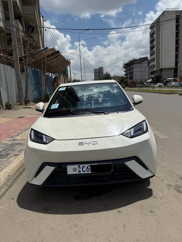 BYD Seagull 2024 Electric SUV – photo 5