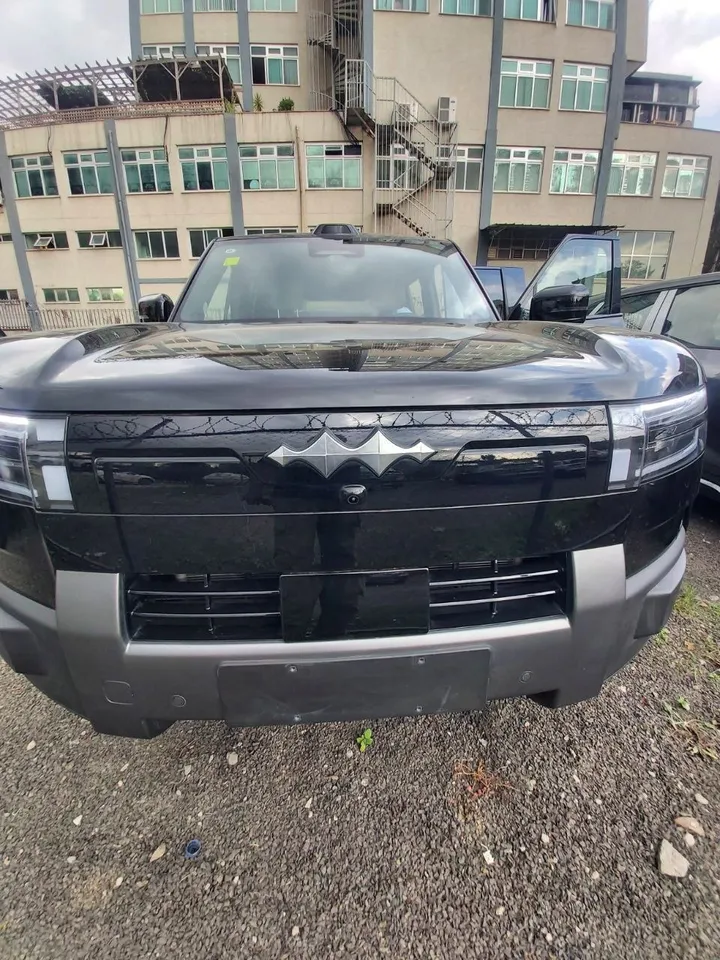 BYD Leopard 07 2025 SUV – photo 8