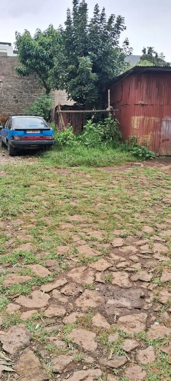 1500 sqm Land near English Embassy – photo 4