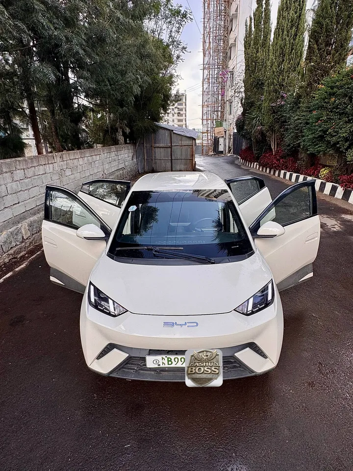 BYD Seagull Premium Electric 2024 – photo 3