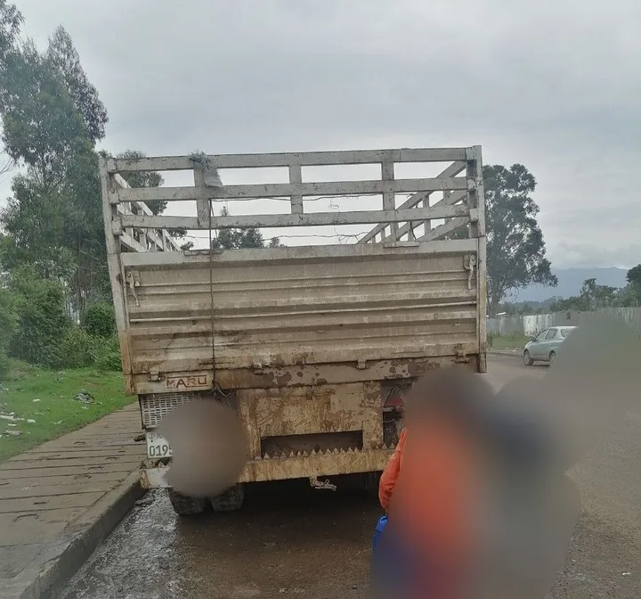 Tesabi Truck Model 2000 – photo 3