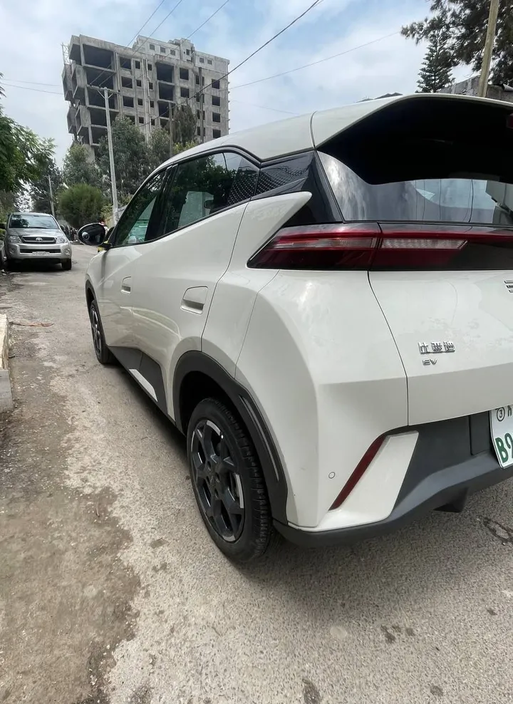 BYD Seagull 2024 Electric – photo 5
