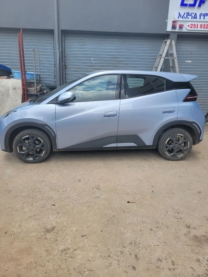 2025 BYD Seagull Electric Automatic – photo 4