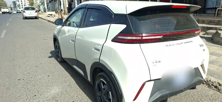 BYD Segull Electric 2024 – photo 7
