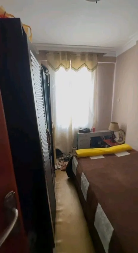 One Bedroom Apartment Mexico Lideta – photo 5