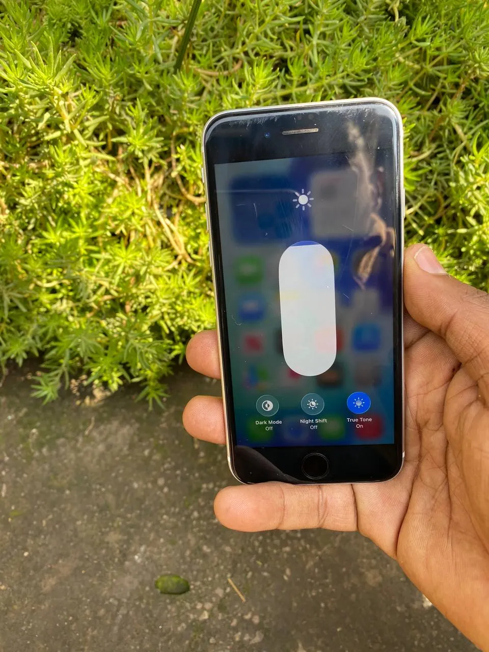 Apple iPhone SE 64GB – photo 4