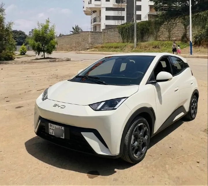 BYD Seagull Premium Electric 2025 – photo 5