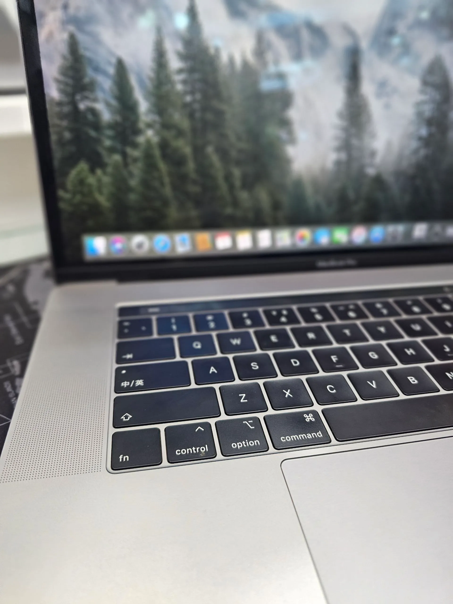 Apple MacBook Pro 15.6 Inch 2019 – photo 4