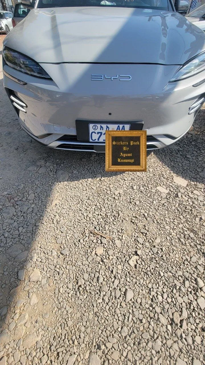BYD Song Plus Champion Edition 2025 – photo 7