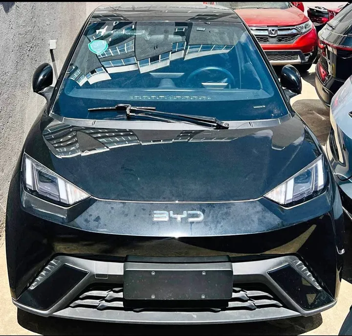 BYD Seagull 2024 Electric – photo 3