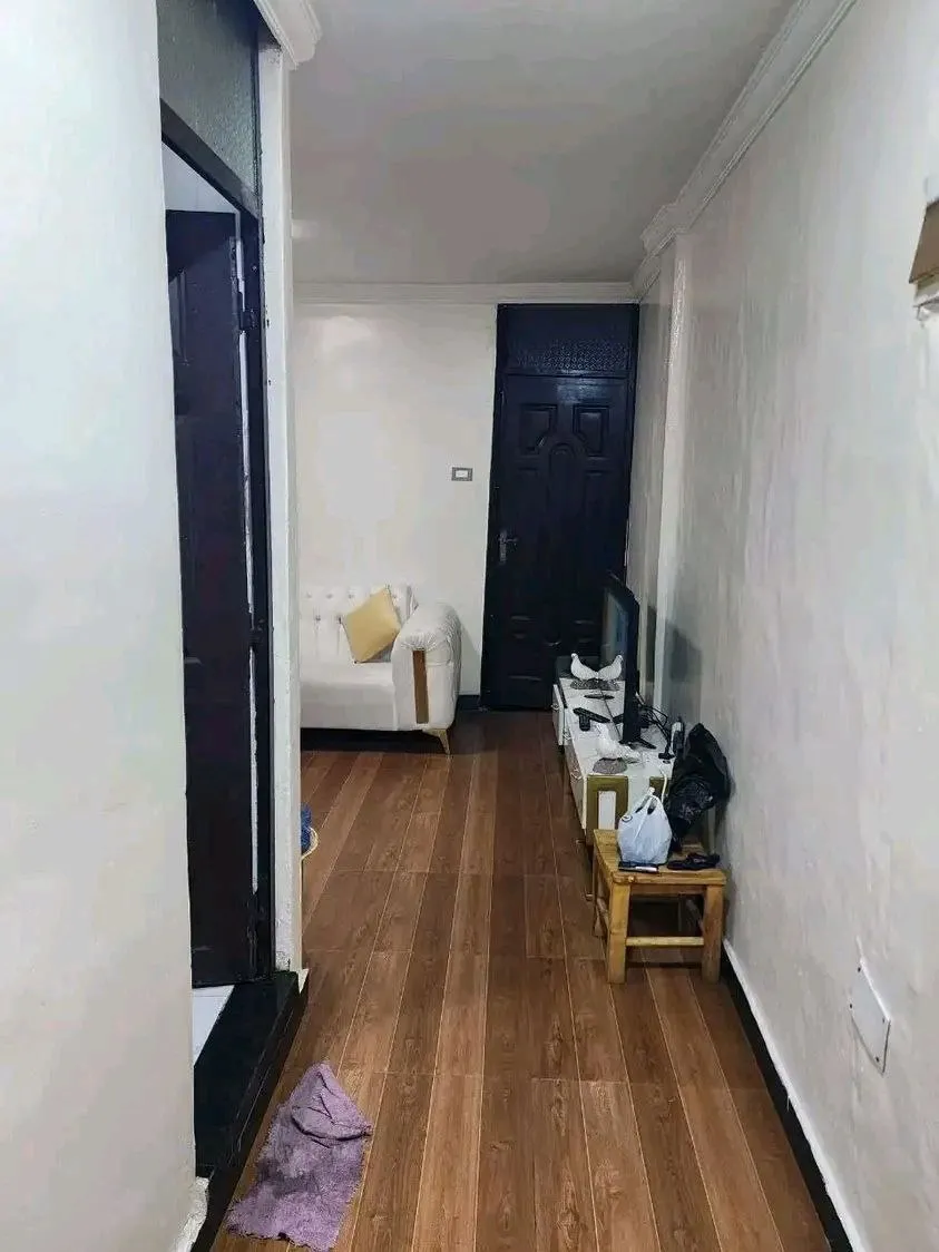 1 Bedroom Apartment 47 sqm – photo 3