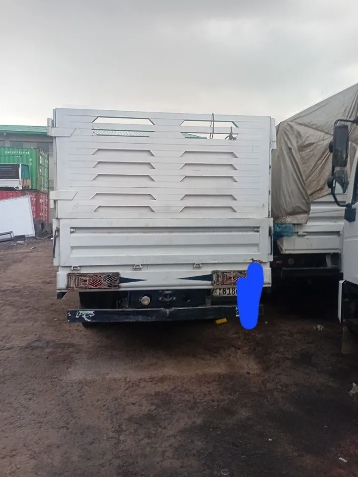 Cargo Truck 2020 45 Quintal – photo 5
