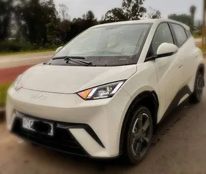 BYD Seagull Premium 2024 Electric Crossover SUV