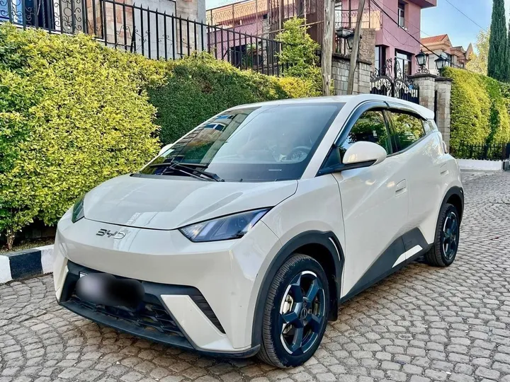 BYD Seagull 2025 Electric – photo 7