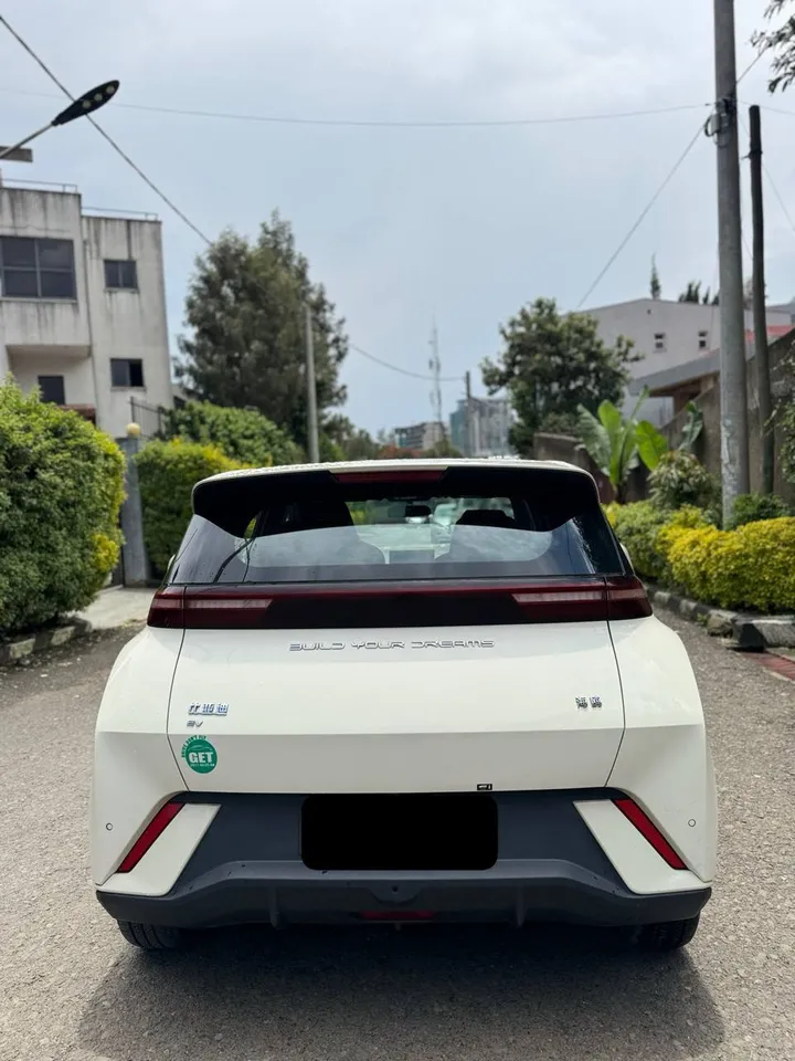 BYD Seagull 2024 Electric – photo 6
