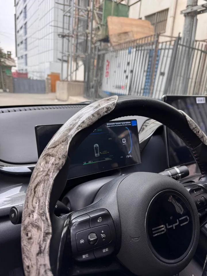 BYD E2 Electric 2024 – photo 7